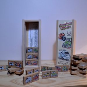 DSC_0133-scaled.jpg DOMINO VEHICULE