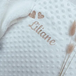 IMG_20241027_211840.jpgv1730475273 Couverture personnalisée