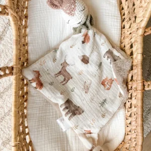 IMG_8707.jpgv1736191884 Doudou Dans les bois 🦌🌳