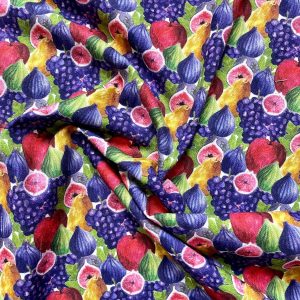 image_acc3ab0d-306a-445f-8425-5e2ae5b5cf70.heicv1668182628 Tissu figues