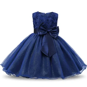 robe-princesse_19_169cb662-196d-4683-b54a-f2fc1f0faf28.pngv1734428116 Robe Princesse Bleu Marine Fille